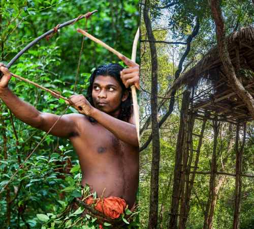 Dambana: A Glimpse into the Indigenous Veddah Community’s Timeless Culture