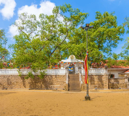 Anuradhapura Jaya Sri Maha Bodhi Tree Base H